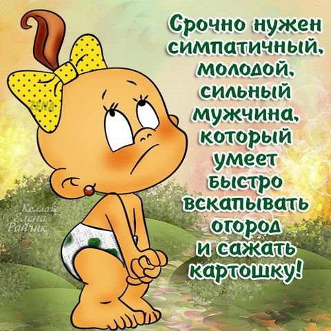 Огород стихи смешные