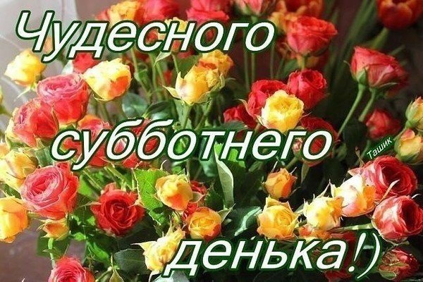 Доброго субботнего денечка