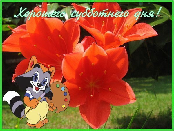 Открытка доброй субботы