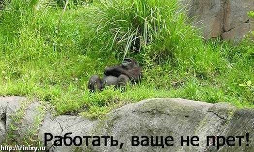 Работа не прет