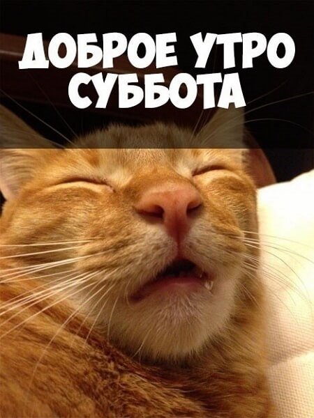 Доброе субботнее утро