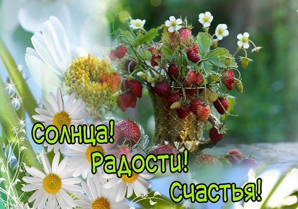 С добрым утром субботы лето