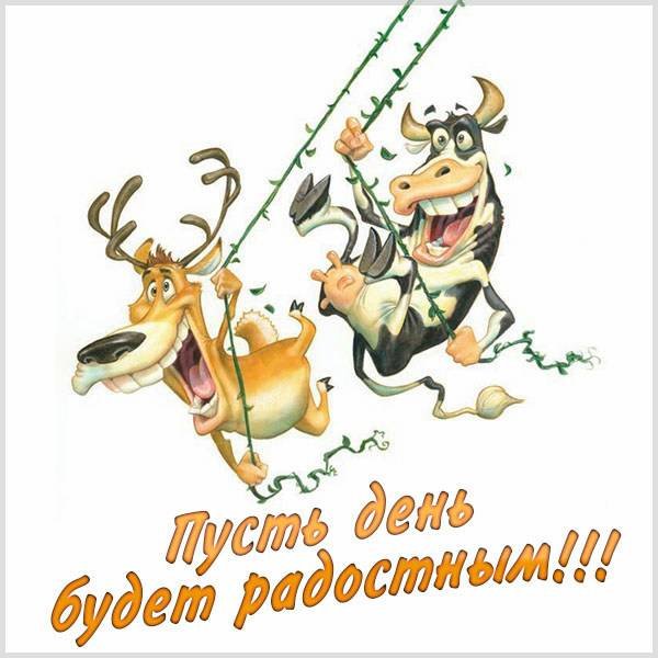 Хорошего дня и отличного настроения мужчине