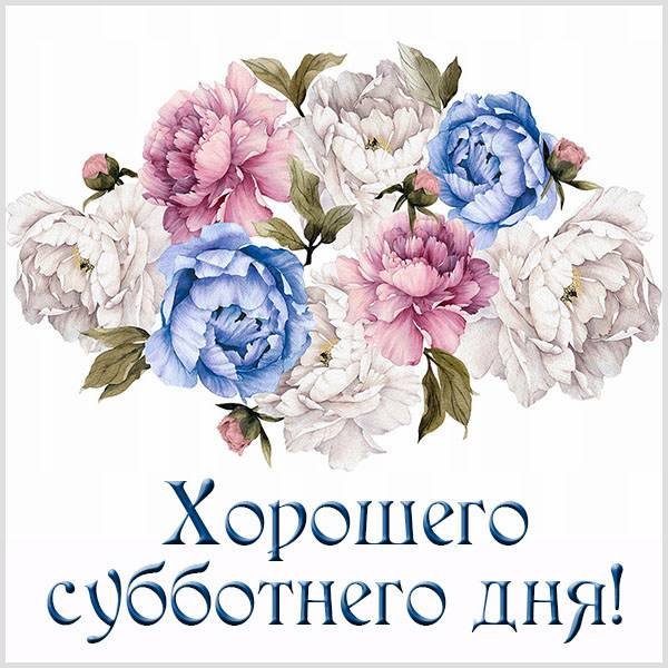 Доброго субботнего дня