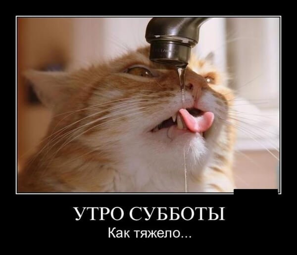 Утро субботы