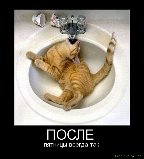 Утро после пятницы