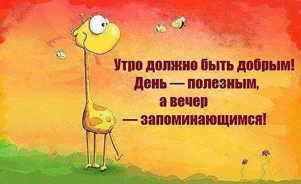 Цитаты про хорошее утро