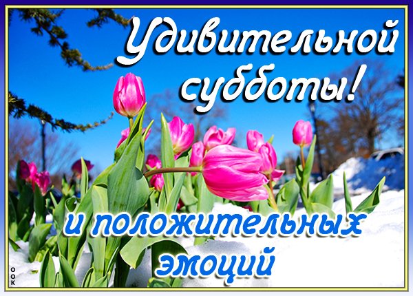 С весенней субботой