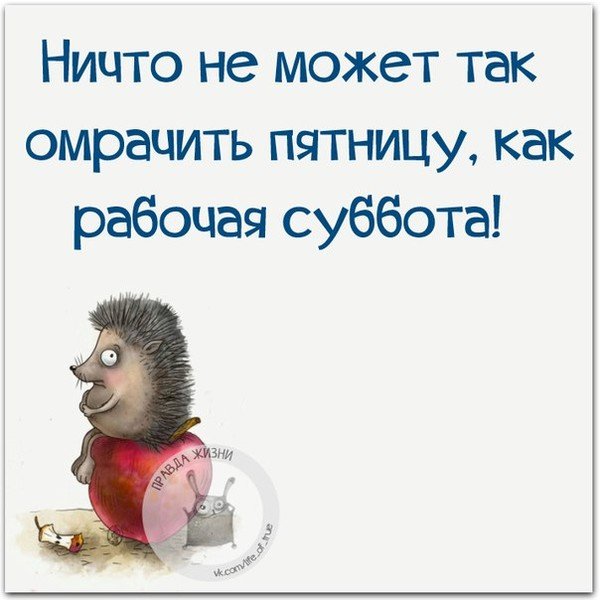Афоризмы про субботу прикольные