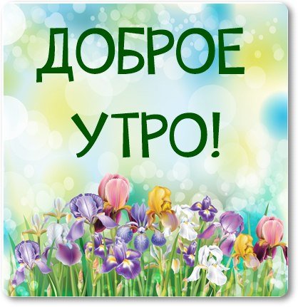 Здорово доброе утро