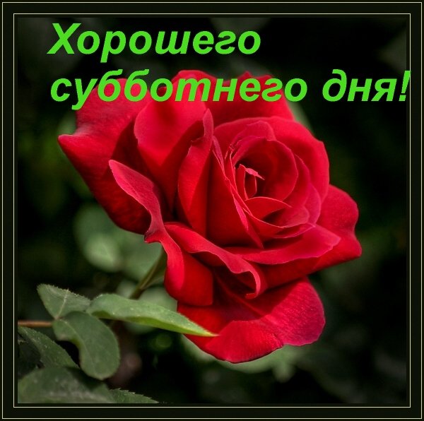 Открытки хорошей субботы