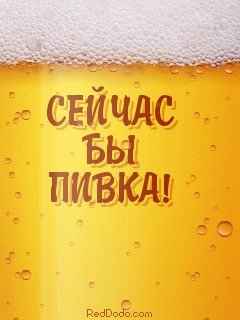 Суббота день пива