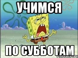 Учиться по субботам