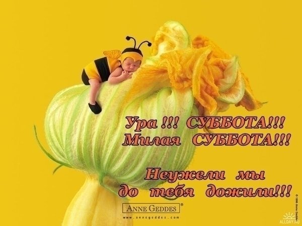 С субботой вас