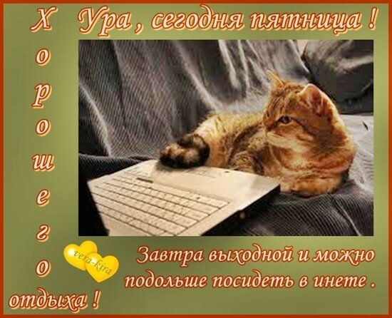 Добрый вечер завтра пятн