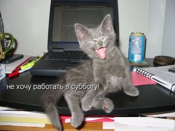 Рабочая суббота юмор