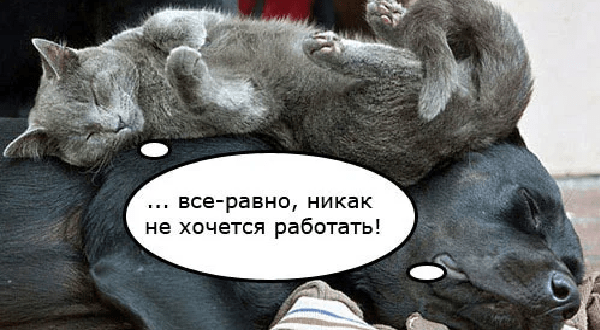 Как не хочется работать картинки