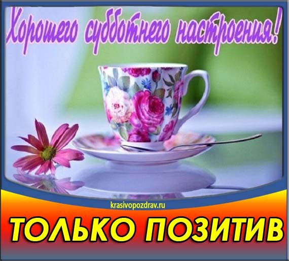 Хорошей субботы и отличного настроения