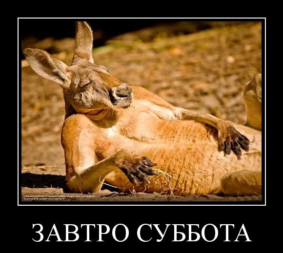 Пожелания на выходные дни