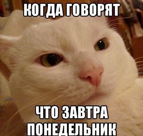 Мемы про субботу