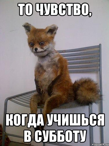 Учимся в субботу