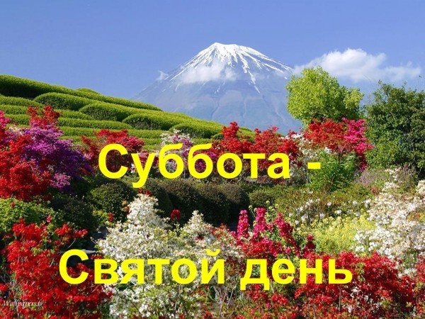 С субботним днем