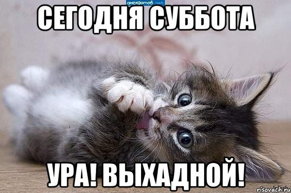 Люблю субботу картинки