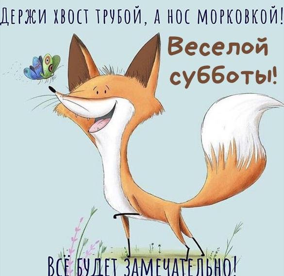 Поздравления с субботой прикольные