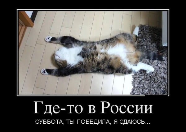 Суббота картинки прикольные