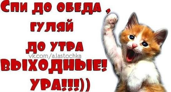 Выходной гуляем
