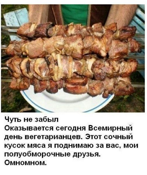 Приколы про шашлыки на природе в картинках