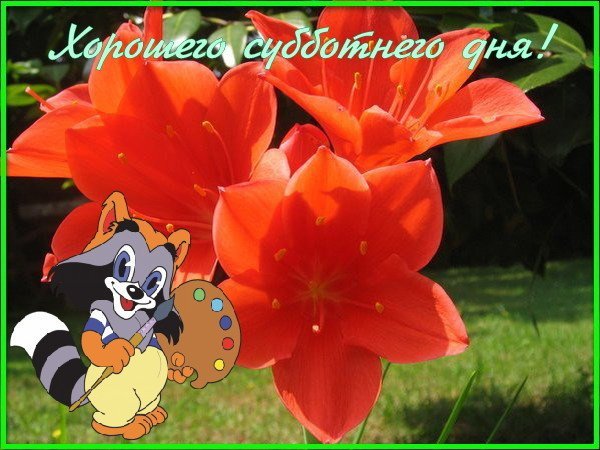 Открытки Здравствуй суббота