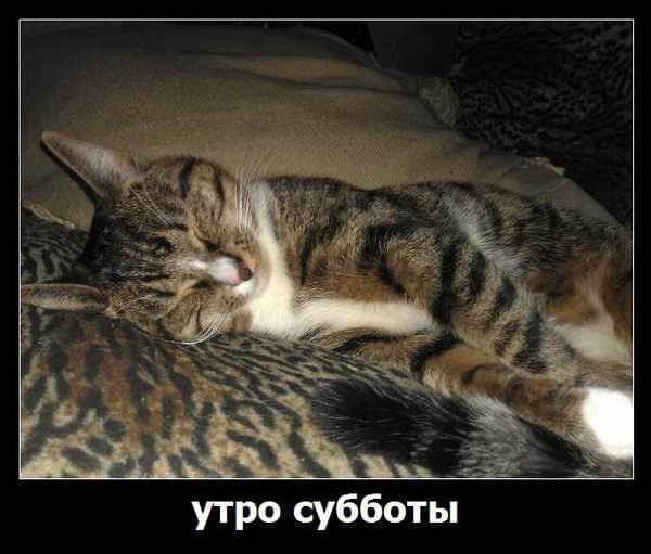 Суббота самый тяжелый день недели надо и отдохнуть