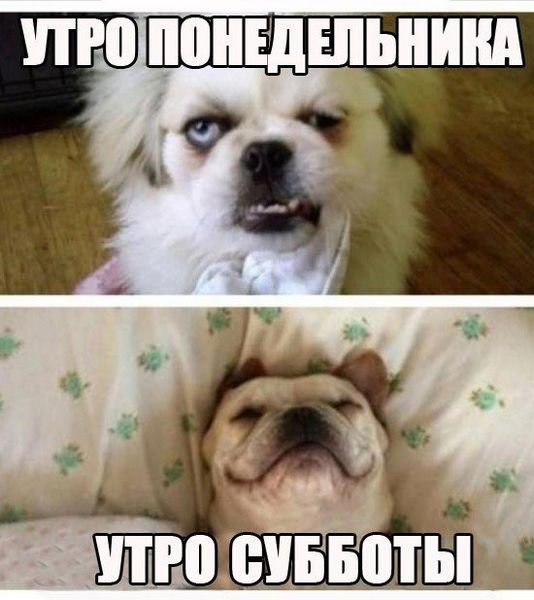 Суббота приколы