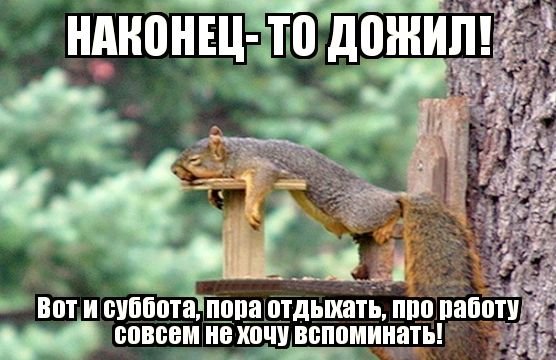 Суббота приколы