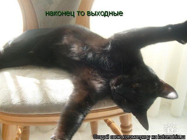 Наконец выходные