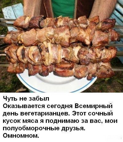 Шутки про шашлык
