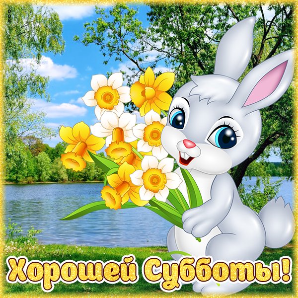 Смешной Ежик с цветами