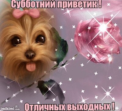 Открытки Субботний приветик