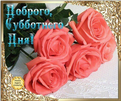 Хорошего субботнего дня розы