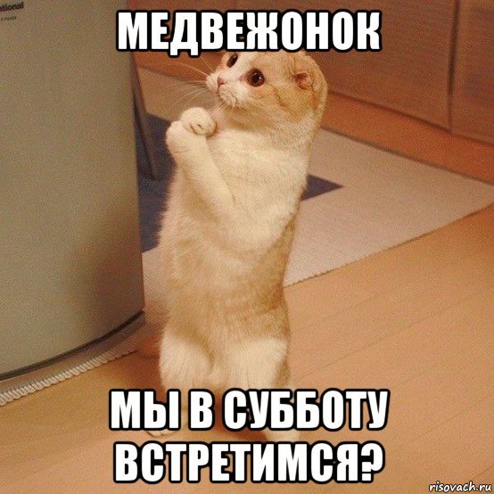 Я очень переживаю за тебя