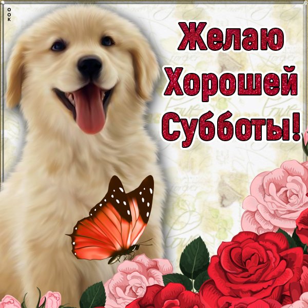 Классной субботы прикольные