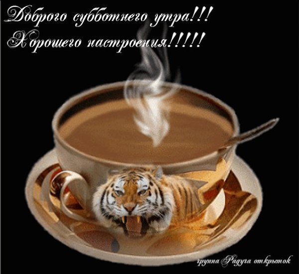 Доброе субботнее утро мужчине