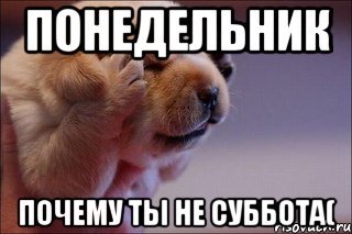 Понедельник Мем суббота