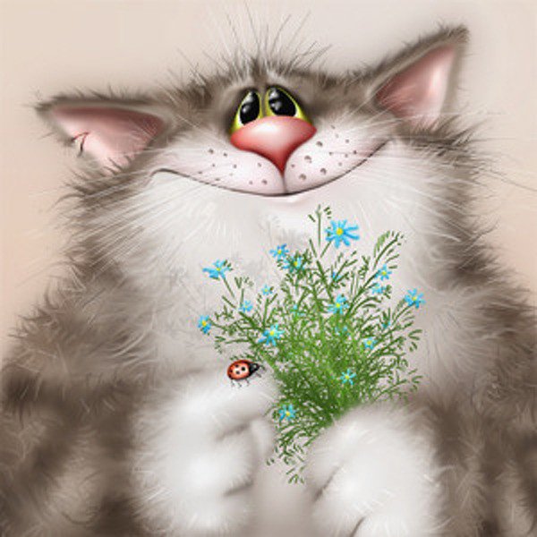 Кот поздравляет