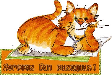 Хорошего воскресного дня с котом
