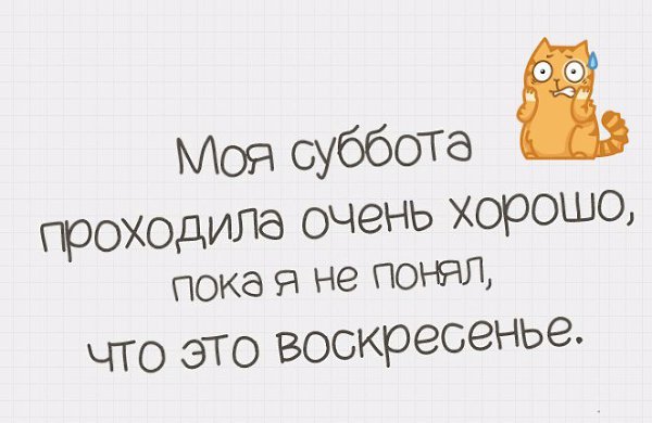 Моя суббота проходила очень