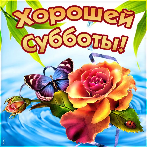 Доброй субботы друзья