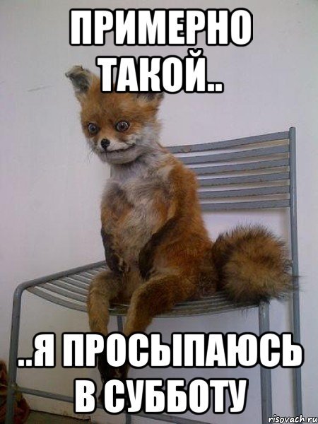 Жду субботу