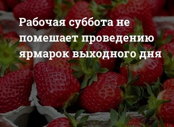 Доброй рабочей субботы